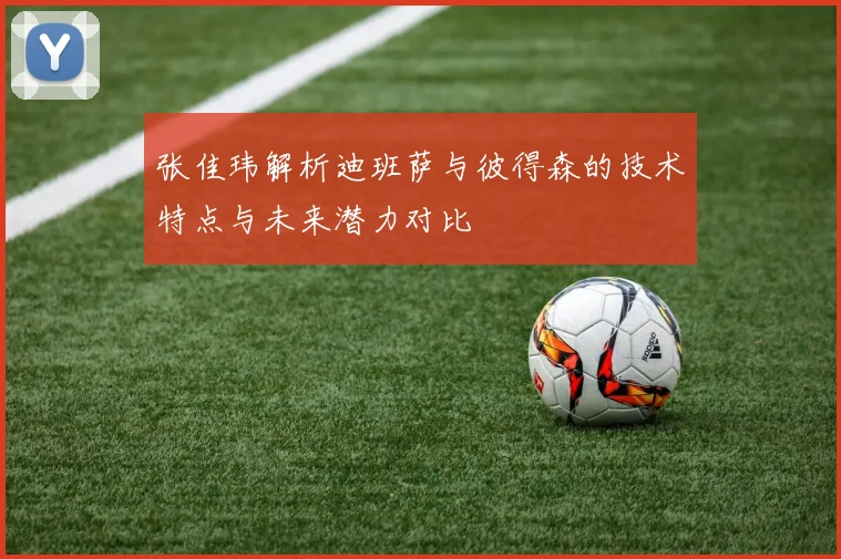 张佳玮解析迪班萨与彼得森的技术特点与未来潜力对比